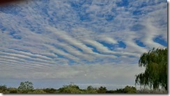IMG_20160813_082641_hdr