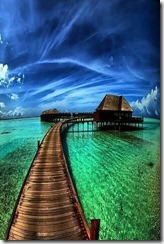 _storage_6536-6138_Wallpapers_Pins_740a41f22baaf6f0f91f254c9e474bbc