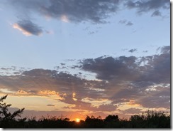 IMG_6232