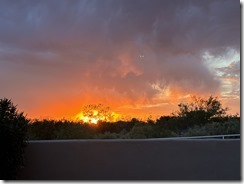IMG_0044