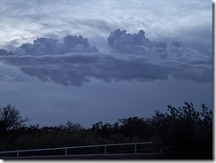 IMG_1418