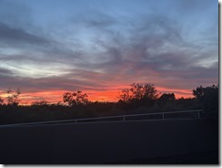 IMG_2369
